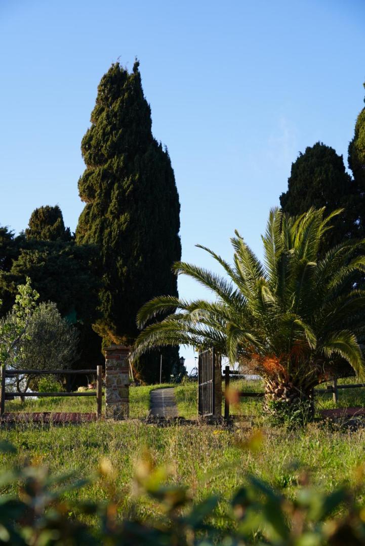 La Vitaverde Agriturismo Santa Luce Exterior foto