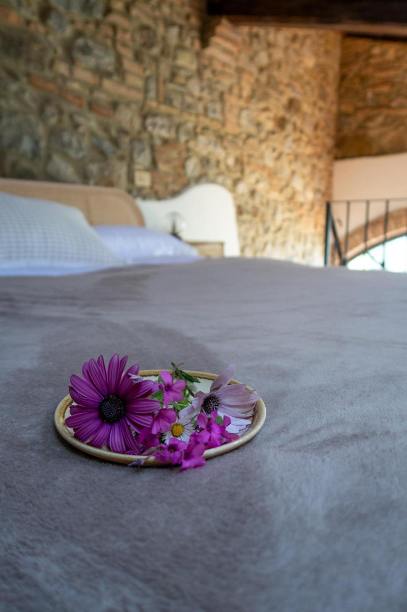 La Vitaverde Agriturismo Santa Luce Exterior foto